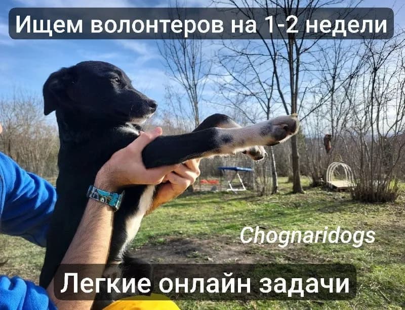 Avito, Facebook, Threads и др.) — Тбилиси