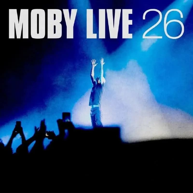 Moby — Тбилиси — 700 ₾