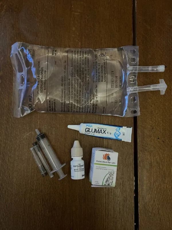 Famciclovir — 4 таблетки; — Тбилиси