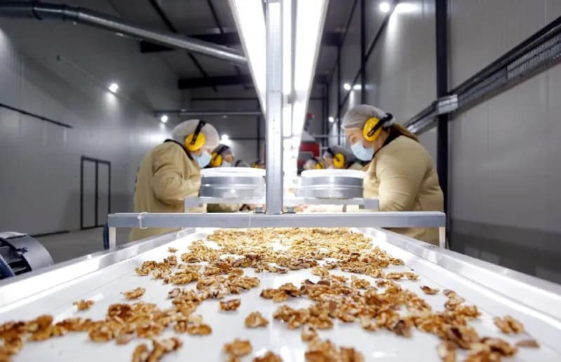 2026 года экспорт агропродукции из Грузии достиг $423,2 млн — на 15% больше, чем годом ранее ($368,3 — Тбилиси — 423 $