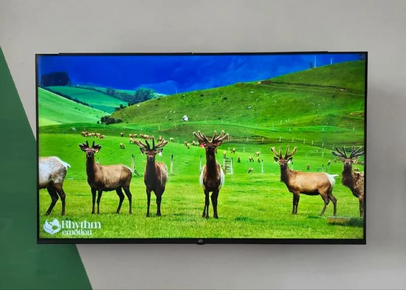 50» (126 см) Google TV 4K Ultra HD — Батуми — 500 ₾