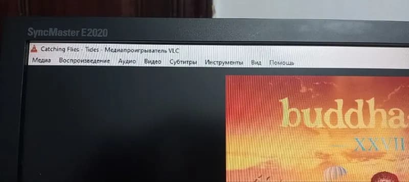 Samsung SyncMaster E[телефон]×900). — Тбилиси — 35 ₾