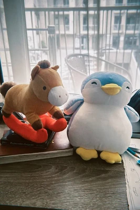 miniso — лучшие друзья — Тбилиси