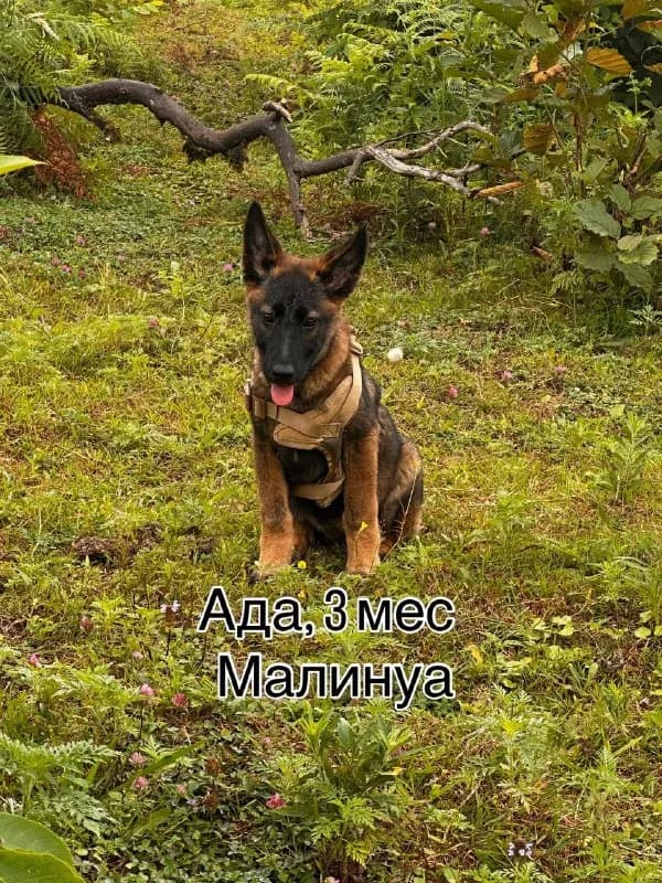 3 месяца — Батуми