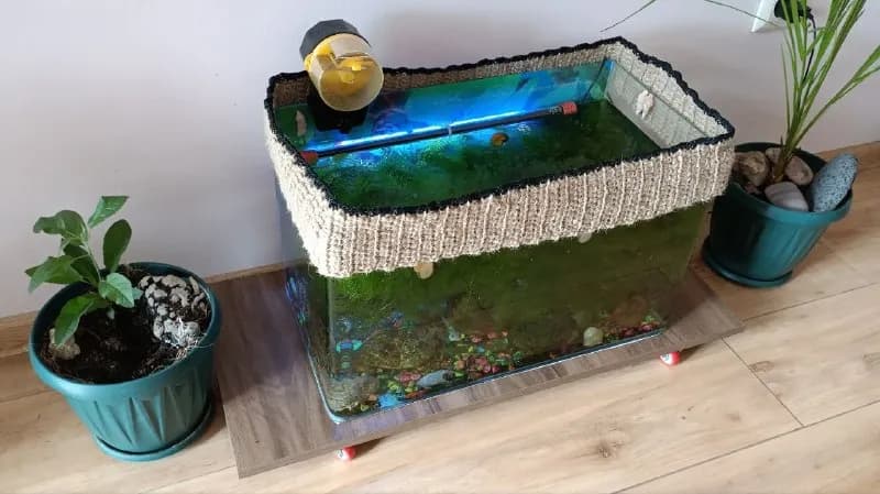 30 см — Батуми — 250 ₾