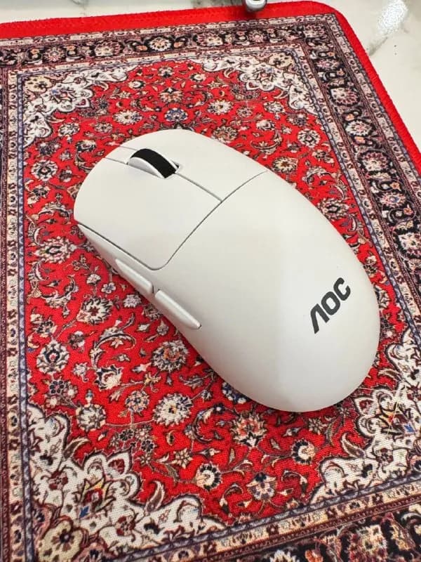 15 лари — Батуми — 15 ₾