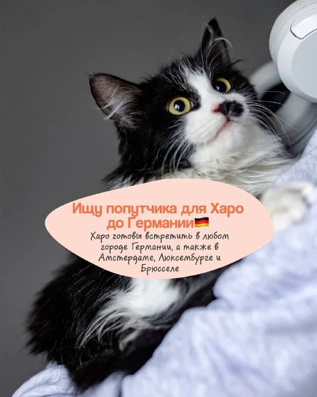 Без названия — Батуми