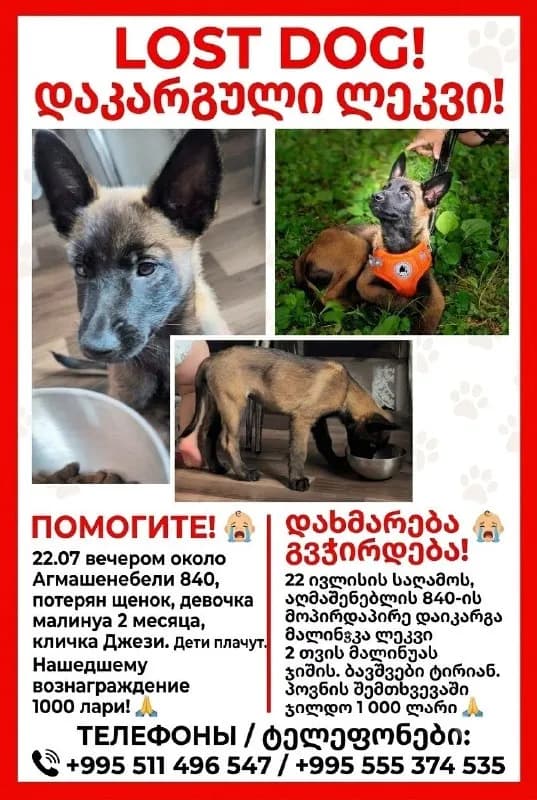 Без названия — Тбилиси