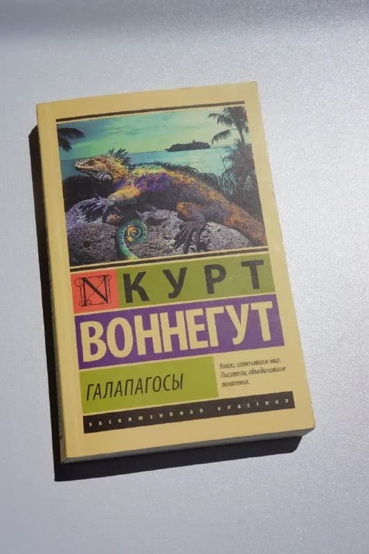 15 лари. — Батуми — 15 ₾