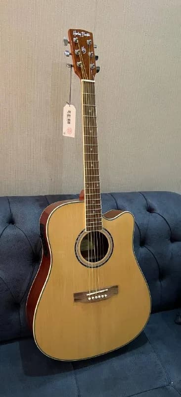 Harley Benton D120ce — отстроена, гриф обработан маслом, лады шлифанул, в комплекте 2 пикгарда и анк — Тбилиси — 400 ₾