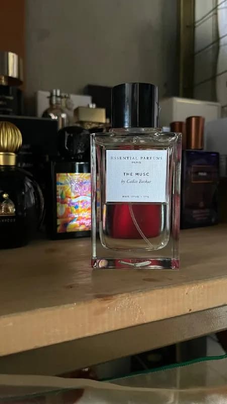 The musk (👈 ссылка на Фрагу) нежный женственный аромат, на лето и осень. — Батуми — 220 ₾