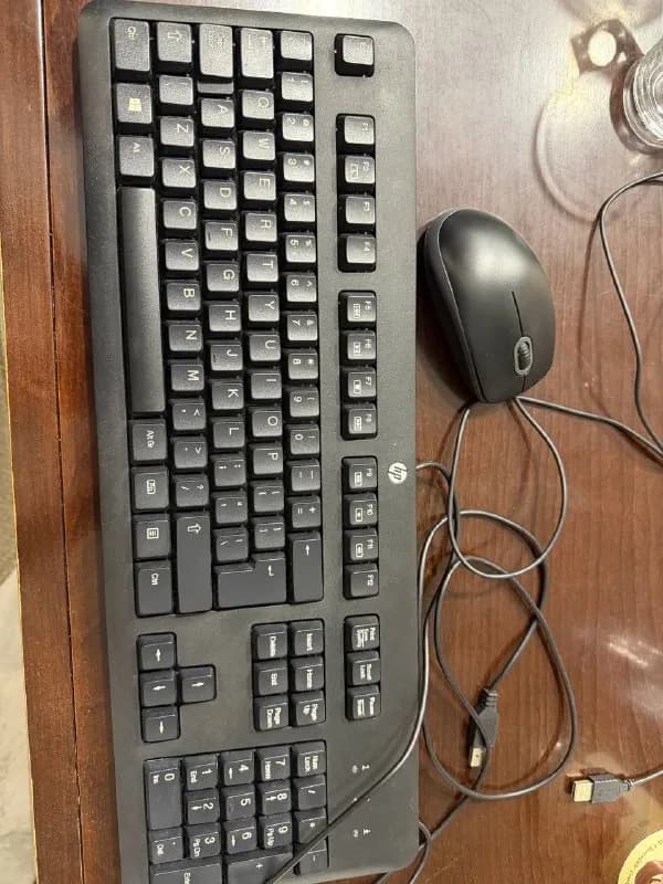hp и мышка Logitech (надпись почти стерлась). Проводные. За все 30 лари — Батуми — 30 ₾