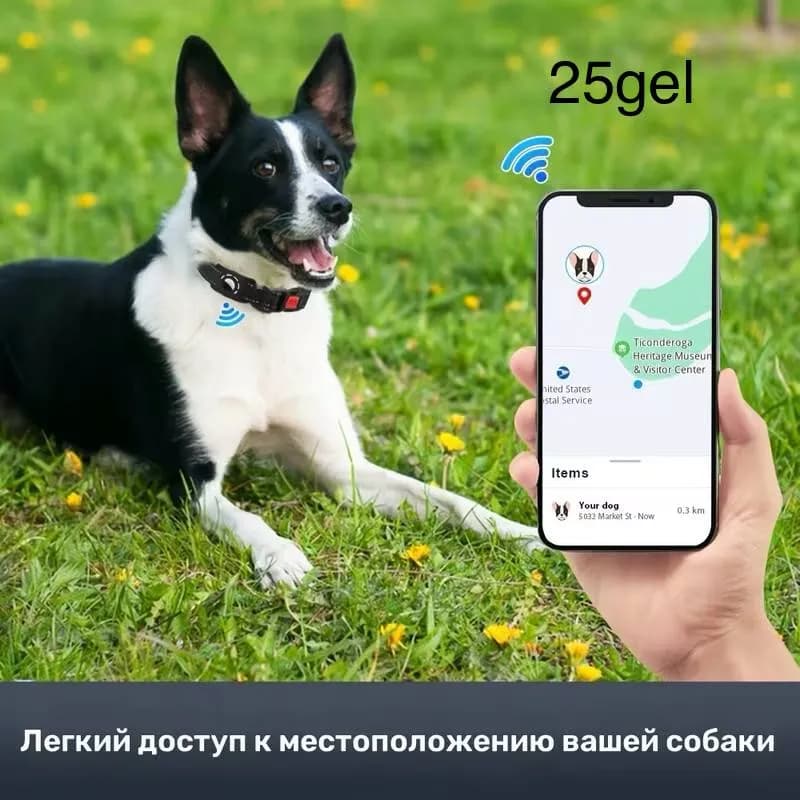 AirTag — Батуми