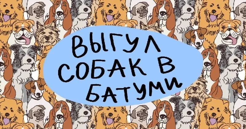 30 сентября единоразовая прогулка стоит всего 15 лари! 💸 — Батуми — 15 ₾