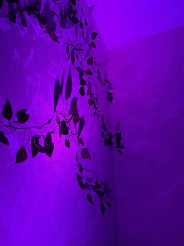 LED лента, светильники, декор — Тбилиси — 20 ₾