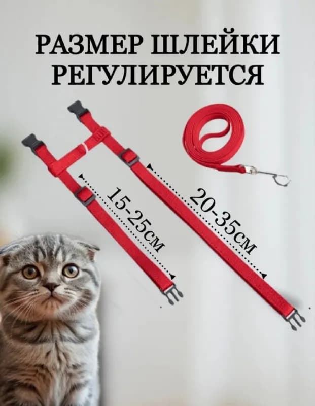 Без названия — Батуми