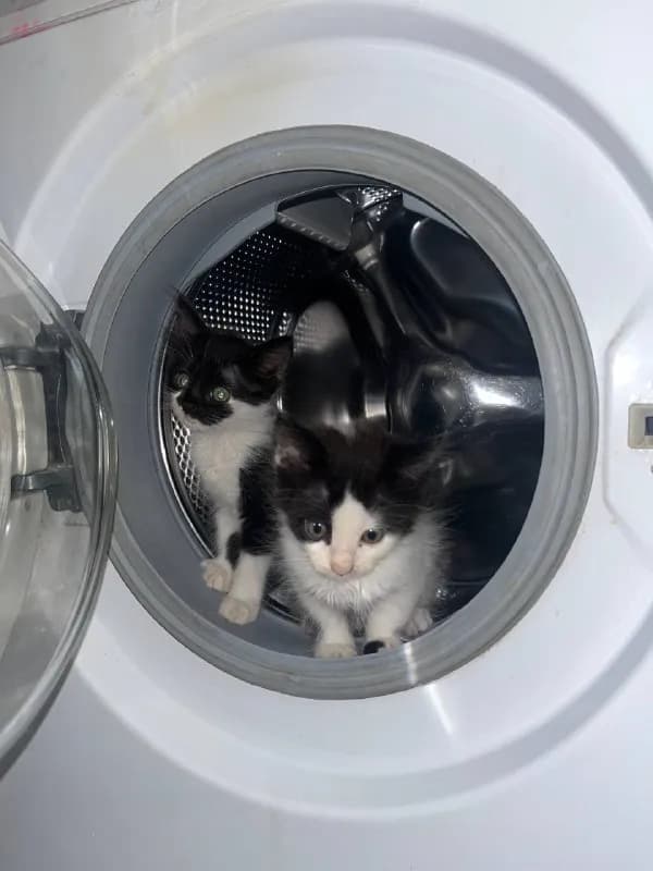 1 месяц — Батуми