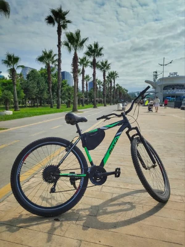Diasa 29» — Батуми — 480 ₾