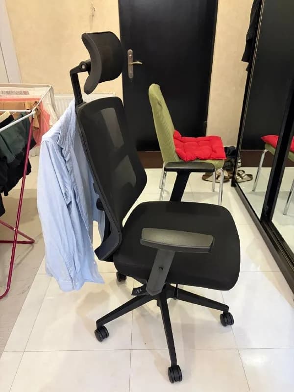 Noel Lina-H из Домино — Тбилиси — 350 ₾
