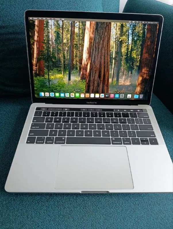 Apple MacBook Pro 13» Silver (2019) в отличном техническом и внешнем состоянии. Полностью исправен, — Батуми — 1 100 ₾