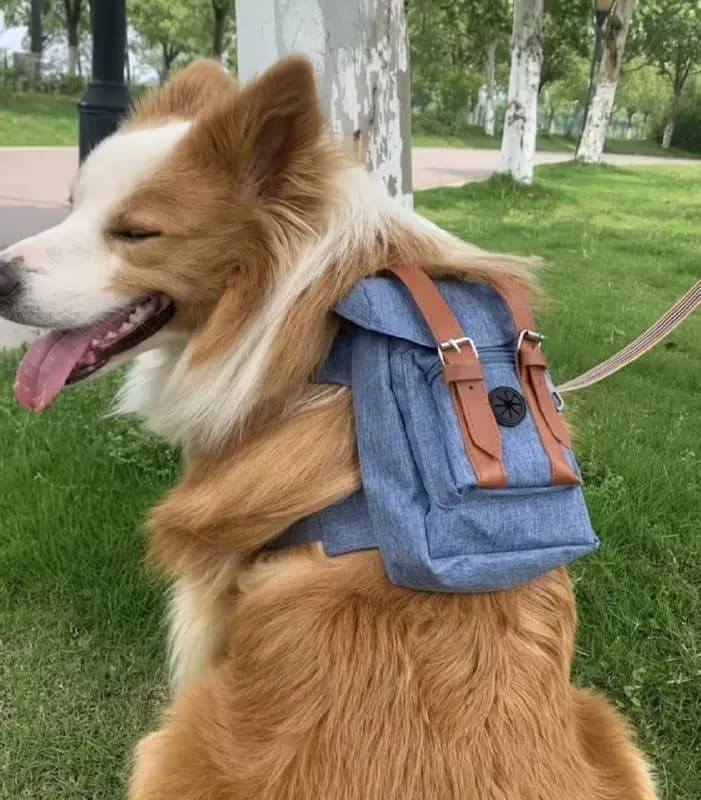 10 минут для фоток) — Батуми — 20 ₾