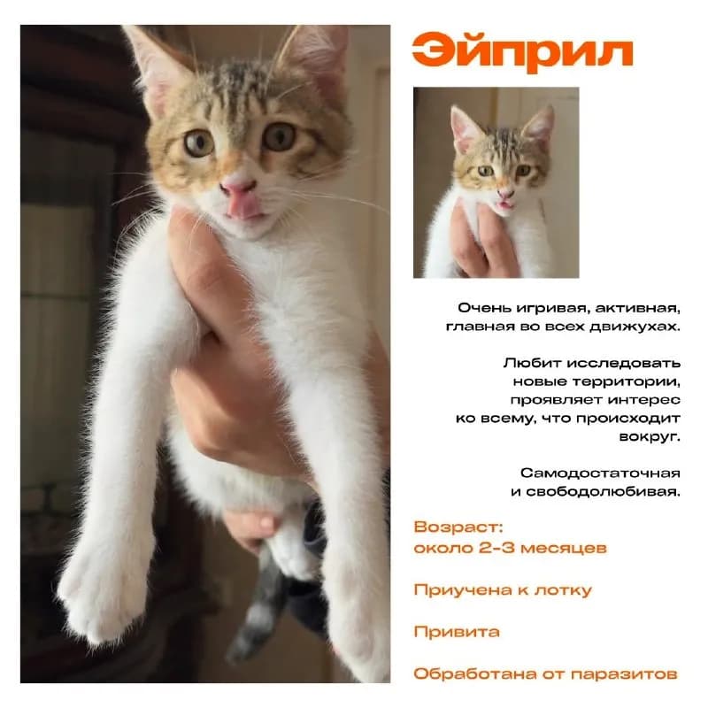 Без названия — Тбилиси