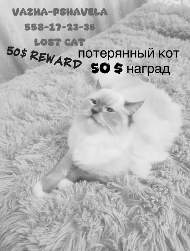 2 კვ., 35, T’bilisi — Тбилиси
