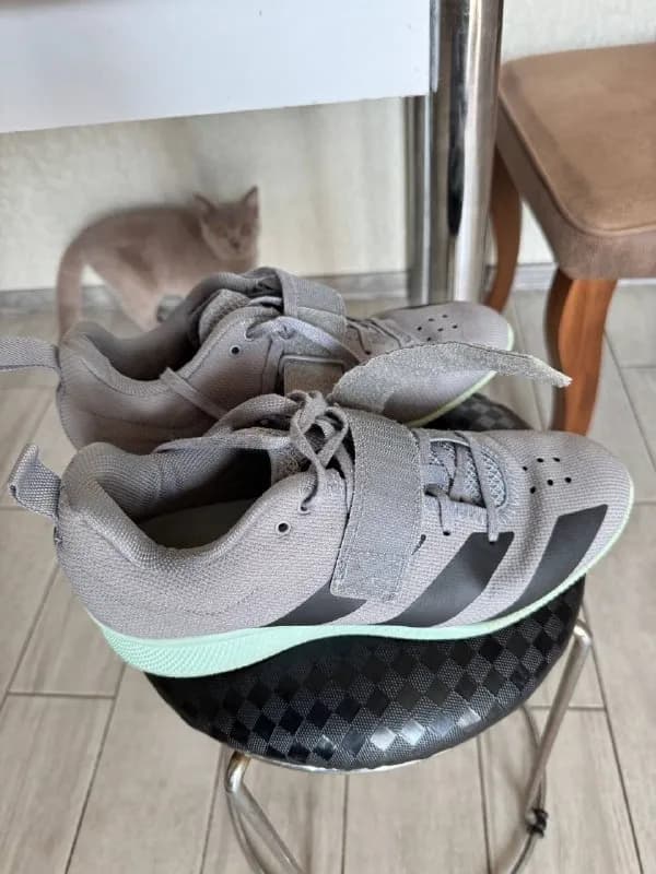 Adidas adipower Weightlifting 2 стелька 265 мм — Батуми