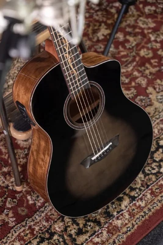 Washburn Bella Tono Vite S9V. — Батуми — 1 500 ₾