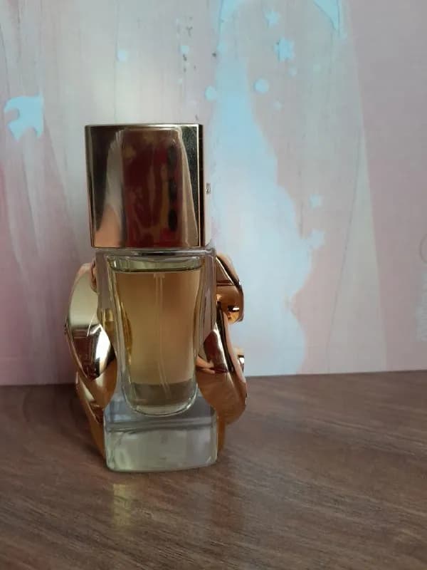 Michael Kors, edp, pour femme, 30мл без нескольких пшиков, 220 лари. Могу подвезти к метро Варкетили — Тбилиси — 220 ₾
