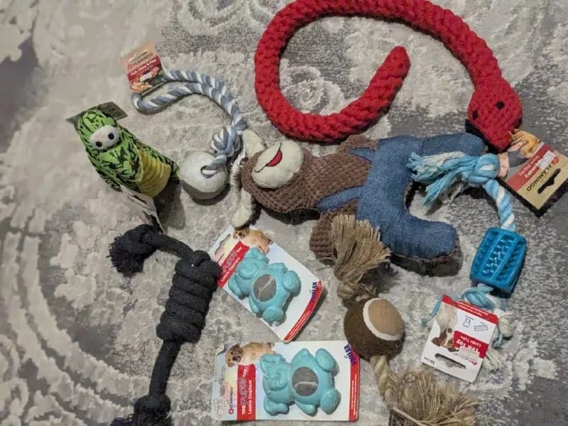 Игрушки для собак — Тбилиси