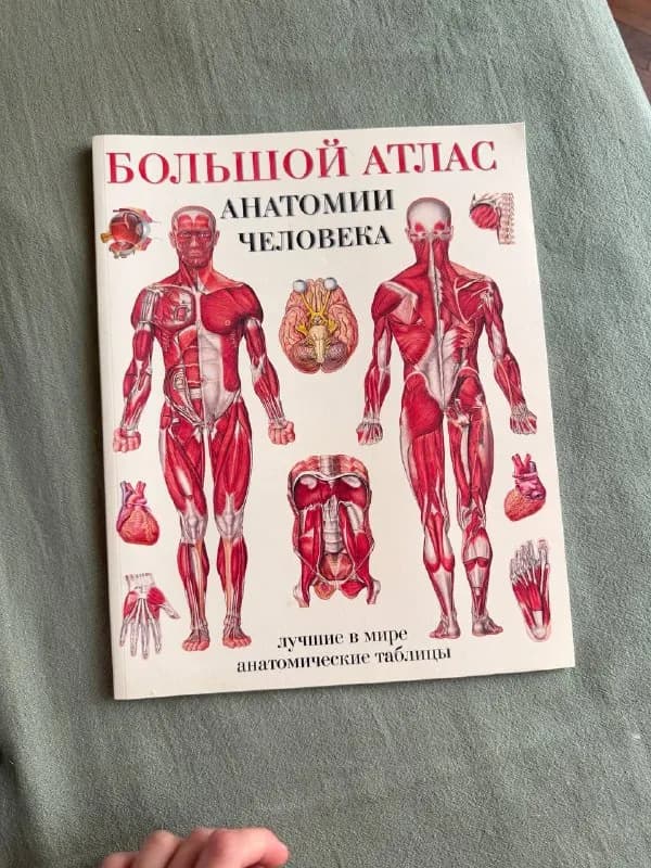 Атлас анатомии человека — Тбилиси — 15 ₾