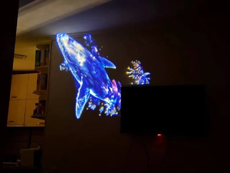 LED ленты, светильники, декор — Тбилиси — 20 ₾