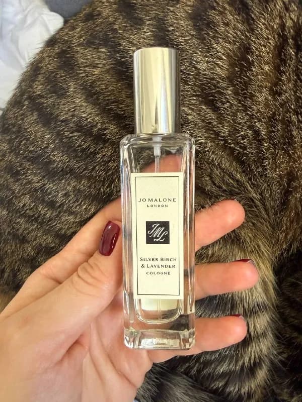 Jo Malone Silver Birch & Lavender — Тбилиси — 160 ₾