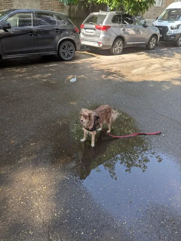 Без названия — Тбилиси