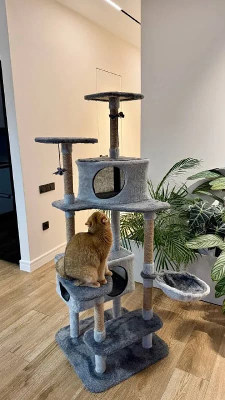 Комплекс для кота — Батуми — 150 ₾