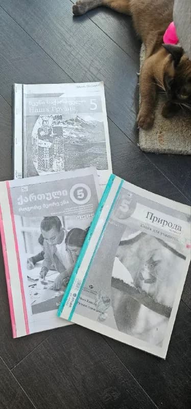 Школьные учебники, книги, словарь — Батуми