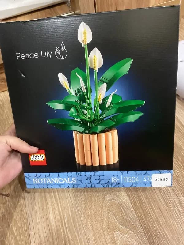 LEGO — Батуми — 330 ₾