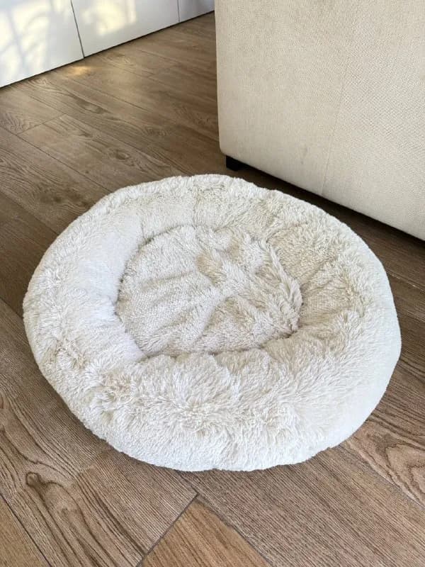 Лежанка для кота или собаки — Батуми — 20 ₾