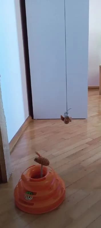 Отдам игрушки для кошки, птичка на резинке.Кобаладзе 8 — Батуми