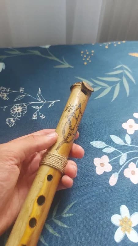 100 лари каждая: — Тбилиси — 100 ₾