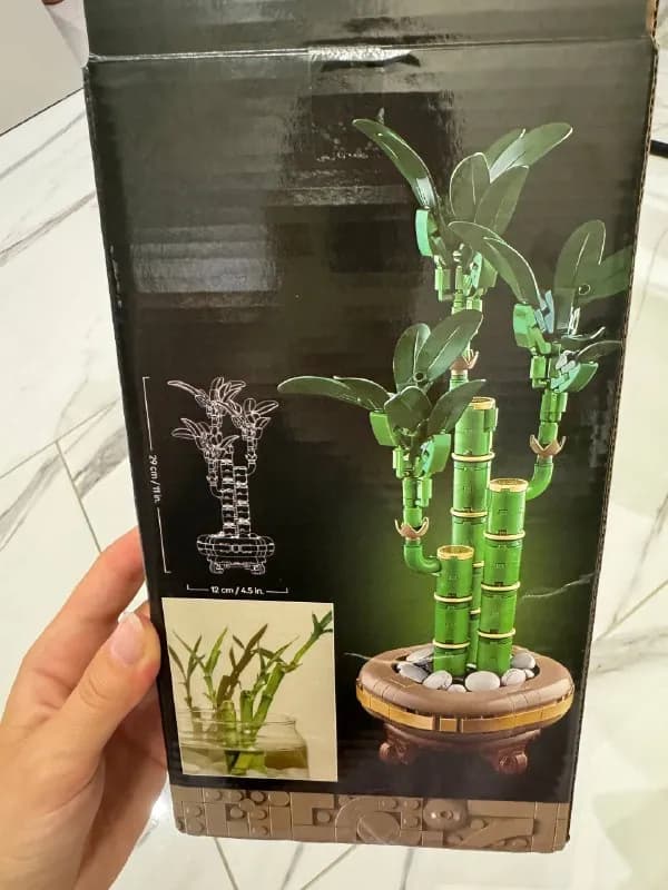 1. Конструктор Бамбук 29×12 см — 25 лари (продано) — Тбилиси — 25 ₾