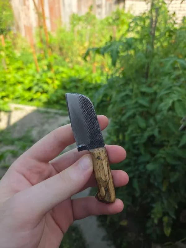 10 см — Батуми — 60 ₾