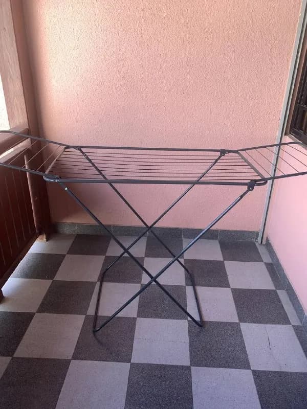 22 августа — Тбилиси — 25 ₾
