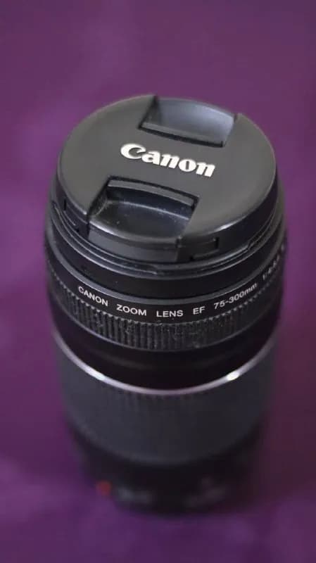 Canon EF 75-300mm. Отличное состояние — 250 лари — Батуми — 250 ₾