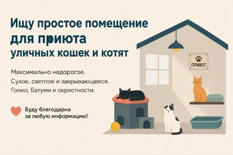 Без названия — Батуми