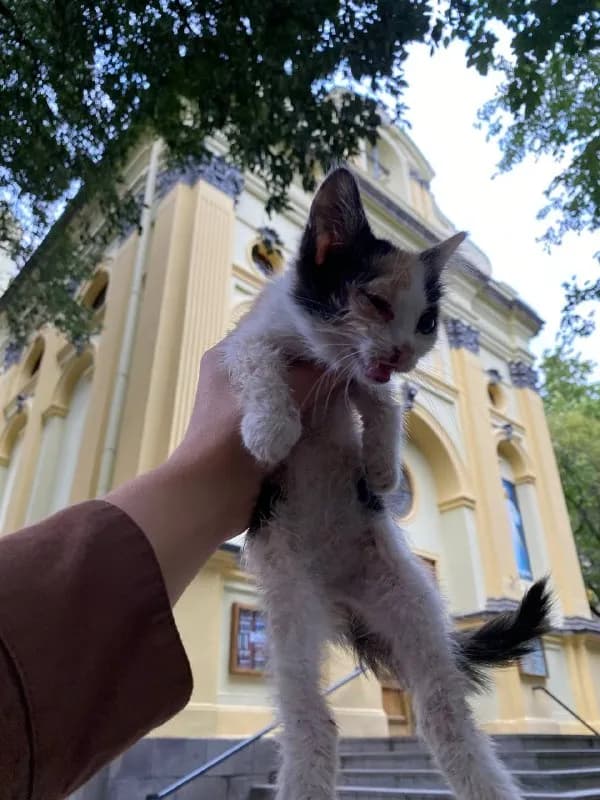 [телефон] — Тбилиси
