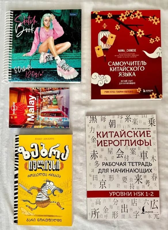 книги, разговорник малайского языка, новый скетчбук — Батуми