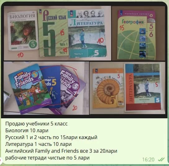 Джунгарский хомяк — Батуми