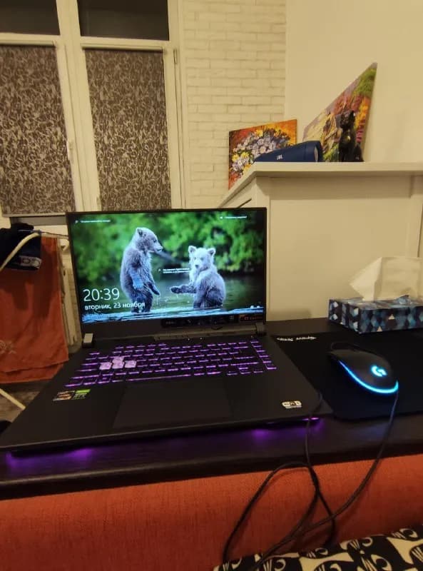 Asus ROG Strix G15 G513QE-HN010T серый — Ереван — 69 ֏